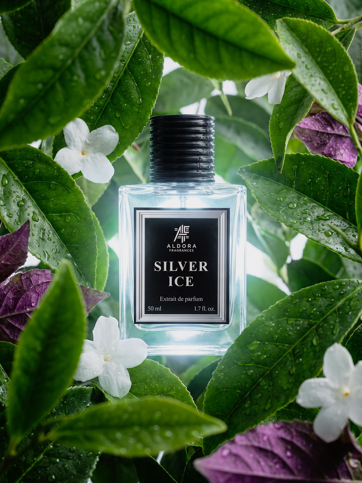 Silver Ice