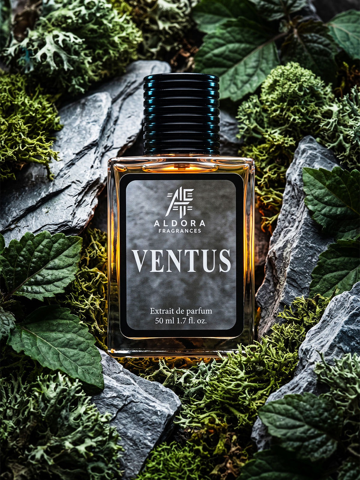 VENTUS