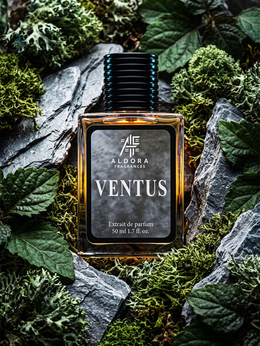 VENTUS